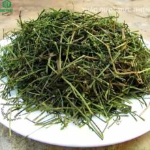 cây giảo cổ lam giúp kiểm soát tiểu đường, bảo vệ tim mạch