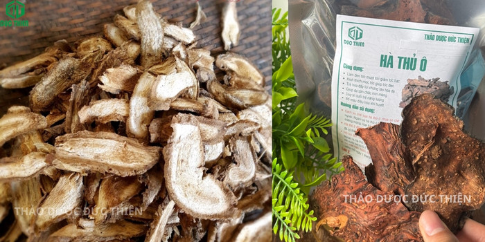 Cận cảnh lát hà thủ ô đỏ thái mỏng sấy khô tự nhiên dùng để sắc nước uống bồi bổ khí huyết