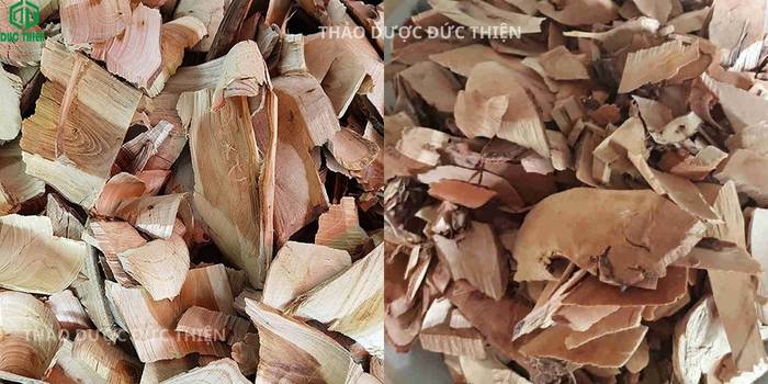Kho hàng cây muối khô số lượng lớn tại Thảo Dược Đức Thiện chuyên cung cấp sỉ lẻ cho các nhà thuốc nam