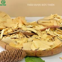 Nơi bán cây quýt gai uy tín thành phố Hồ Chí Minh