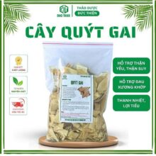 Cây Quýt Gai Khô (Cây Tầm Xoọng) – Hỗ Trợ Vấn Đề Suy Thận, Sỏi Thận, Thận Hư, Thận Yếu