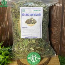 Túi lá bồ công anh đặc biệt sấy khô thương hiệu Thảo Dược Đức Thiện chuyên trị tắc tia sữa