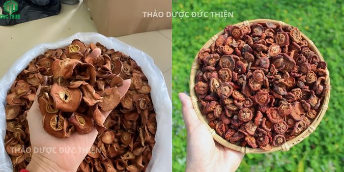 Thưởng thức rượu táo mèo liều lượng vừa phải giúp an thần ngủ ngon và kích thích tiêu hóa.