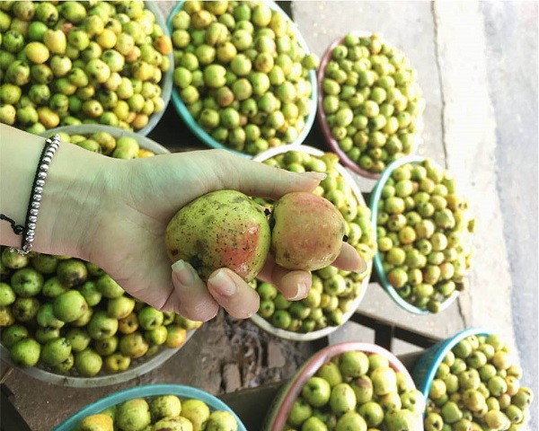 Táo mèo tươi Tây Bắc