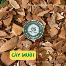 Thân cây muối rừng phơi khô thơm sạch chuẩn dược liệu làm thuốc Thảo Dược Đức Thiện