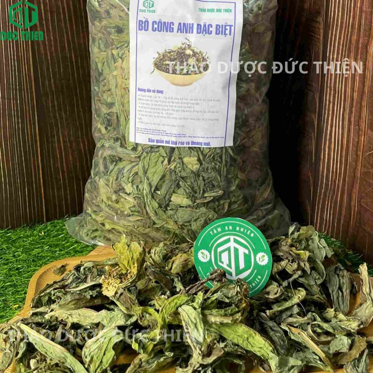 Sản phẩm bồ công anh đặc biệt giúp thông tắc tia sữa và giảm sưng viêm tuyến vú cho mẹ sau sinh