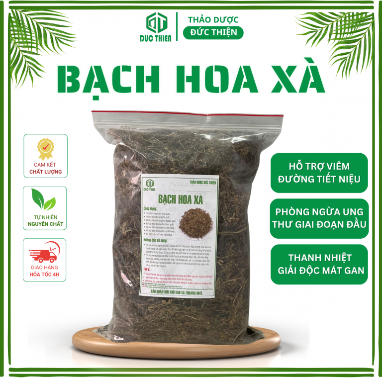 Bạch hoa xà – thảo dược điều trị da liễu, giải độc