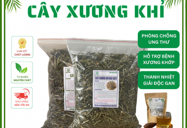 Cây Xương Khỉ (Cây Bìm Bịp) Đặc Biệt – Hỗ Trợ Men Gan Cao, Gan, Đau Nhức Xương Khớp