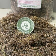 Cận cảnh bạch hoa xà thiệt thảo sấy khô giữ nguyên màu xanh nhạt giúp giải độc và kháng viêm