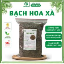 Bạch Hoa Xà Thiệt Thảo Khô – Giải Độc, Tiêu Thũng & Hỗ Trợ Trị U Bướu