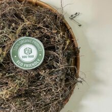 Hướng dẫn liều dùng bạch hoa xà sắc nước uống hàng ngày an toàn cho người bệnh u bướu