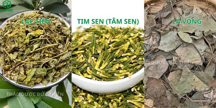 Bài thuốc kết hợp Lạc tiên Tâm sen và Lá vông giúp trị mất ngủ kinh niên