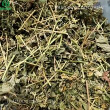 Cây lạc tiên (cây chùm bao, nhãn lồng) phơi khô tự nhiên