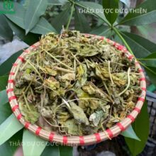 Dây nhãn lồng (lạc tiên) được thu hái và phơi khô tự nhiên trên mẹt tre, giữ nguyên hương thơm thảo mộc