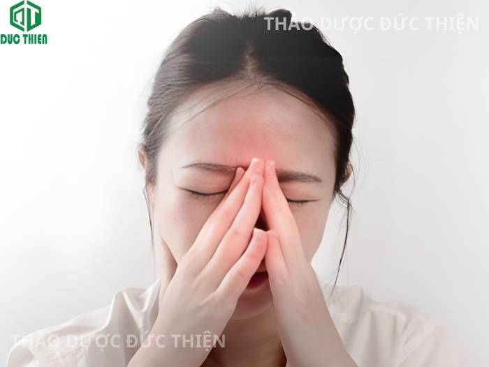Kim ngân hoa có tác dụng kháng viêm mạnh hỗ trợ điều trị hiệu quả bệnh viêm xoang cấp và mãn tính