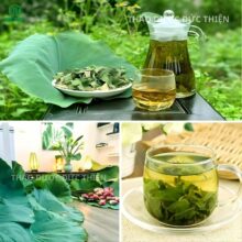 Hướng dẫn cách pha trà lá sen khô giúp thanh nhiệt, giải độc và ngủ ngon giấc