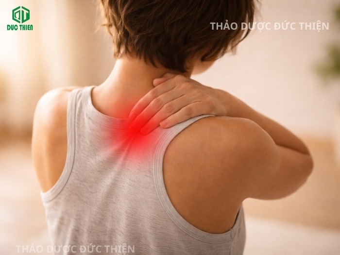 Trái nhàu khô giảm đau mỏi vai gáy và tê bì chân tay