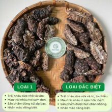 So sánh trái nhàu khô loại 1 và loại đặc biệt Thảo Dược Đức Thiện