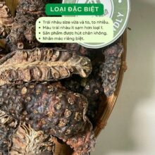 Cận cảnh trái nhàu khô loại đặc biệt size to đã rút lõi