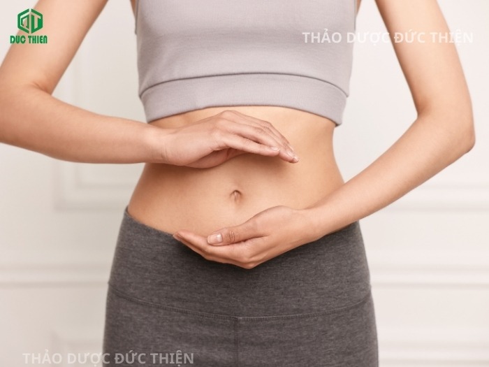 Trái nhàu khô hỗ trợ kích thích tiêu hóa và nhuận tràng