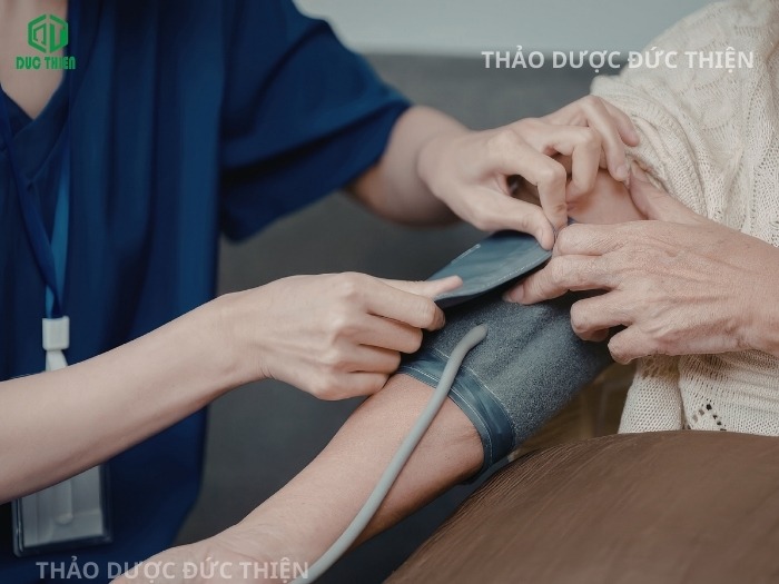 Công dụng trái nhàu khô giúp ổn định huyết áp ở người cao tuổi