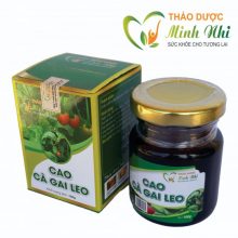 Cao cà gai leo