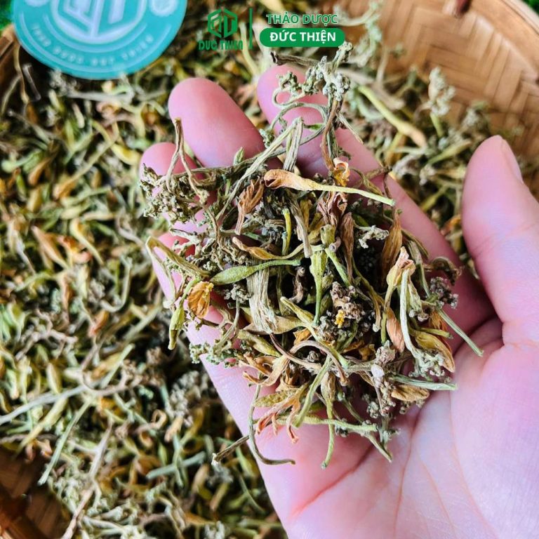 Cận cảnh cánh hoa đu đủ đực sấy lạnh giữ nguyên màu xanh vàng, không bị nát vụn