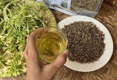 Uống Nước Hoa Đu Đủ Đực Như Thế Nào? Cách Nấu, Cách Uống Và Những Lưu Ý An Toàn