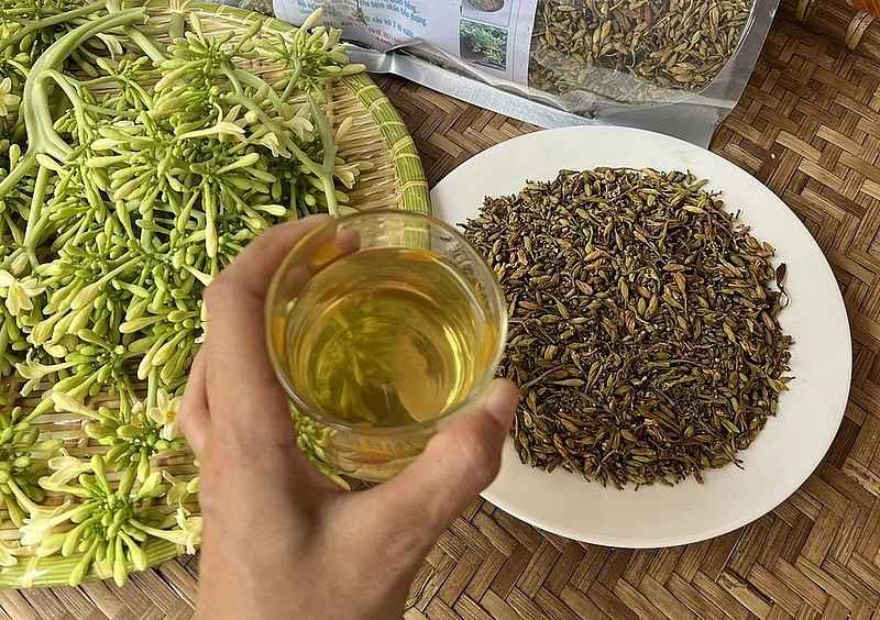 Hình ảnh so sánh hoa đu đủ đực tươi và khô dùng để ngâm mật ong hoặc hãm trà