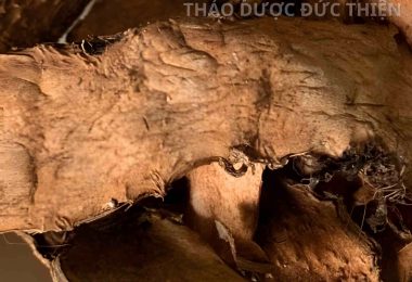 Địa Chỉ Mua Mướp Gai Tại Thành Phố Hồ Chí Minh: Kinh Nghiệm Chọn Hàng Chất Lượng