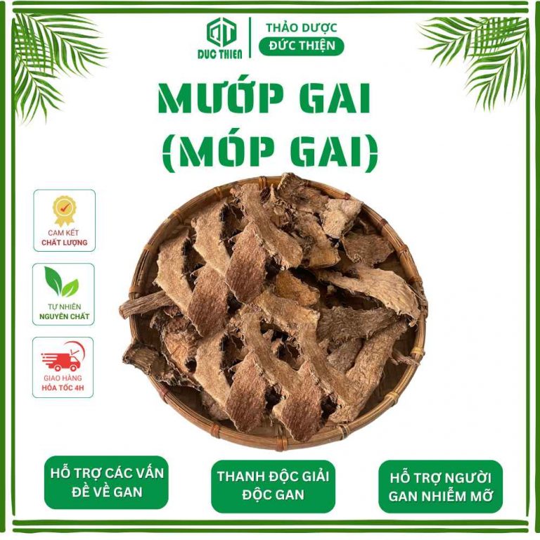 Cây mướp gai (móp gai) khô Thảo Dược Đức Thiện hỗ trợ điều trị bệnh gan, thanh nhiệt giải độc.