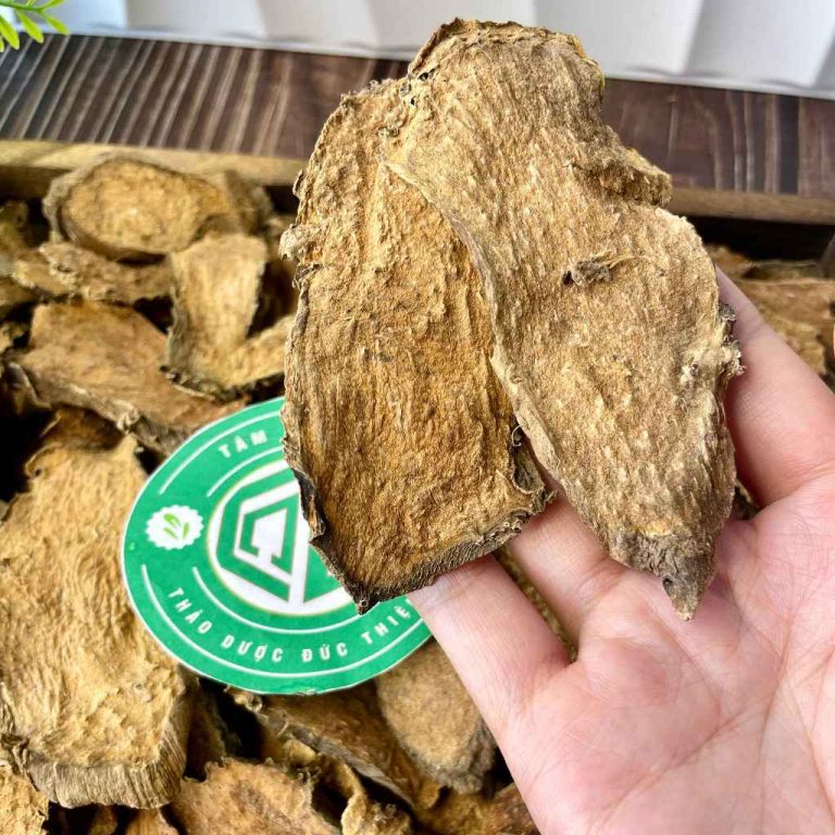 Hình ảnh củ móp gai khô thái lát chất lượng cao, không ẩm mốc trên tay người cầm.