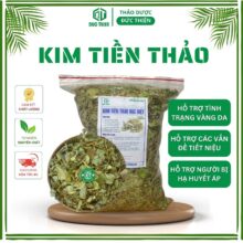 Kim Tiền Thảo – Hỗ Trợ Sỏi Thận, Sỏi Tiết Niệu, Bàng Quang Và Trĩ