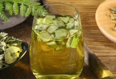 Kim Tiền Thảo – “Khắc Tinh” Tự Nhiên Của Sỏi Thận: Công Dụng Và Cách Dùng Chuẩn Nhất