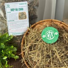 Bao bì sản phẩm Diệp Hạ Châu sấy khô thương hiệu Thảo Dược Đức Thiện hỗ trợ giải độc gan