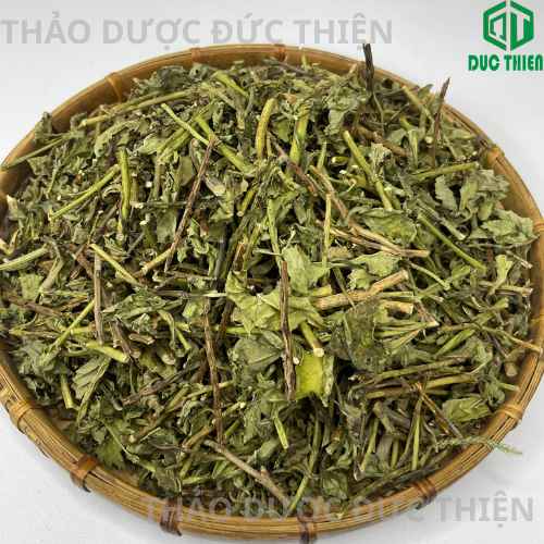 cay-duoi-chuot-hoa-tim-kho-dac-biet-san-pham-nguyen-chat