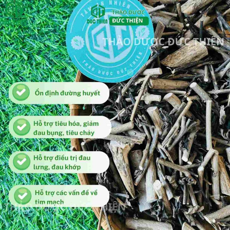 Tổng hợp công dụng cây đuôi chuột: Ổn định đường huyết, tiêu hóa, đau khớp và bệnh tim