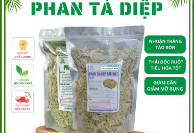 Phan Tả Diệp loại 1, đặc biệt – Hỗ trợ đường tiêu hóa, táo bón, giải độc gan