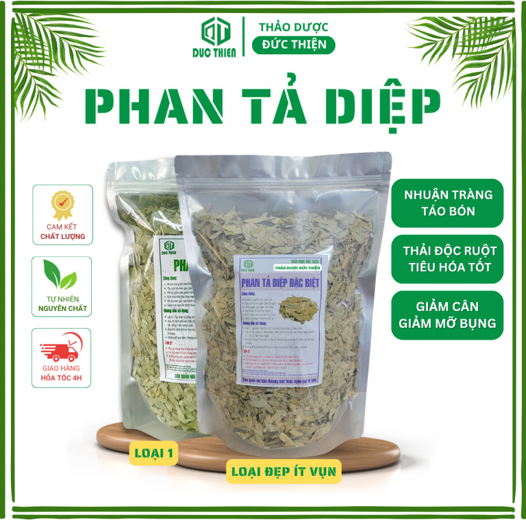 Lá Phan tả diệp – thảo dược nhuận tràng, giải độc