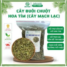 Hình nền cây đuôi chuột hoa tím khô Thảo Dược Đức Thiện