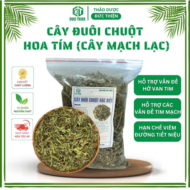 Hình nền cây đuôi chuột hoa tím khô Thảo Dược Đức Thiện