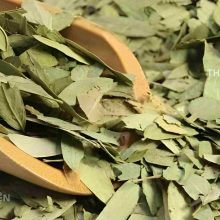 Cận cảnh lá phan tả diệp sấy khô giữ nguyên màu xanh, không vụn nát, đạt chuẩn dược liệu sạch