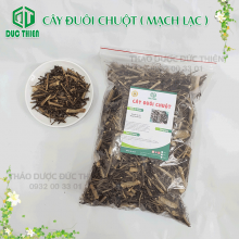 1kg Cây Đuôi Chuột (Mạch Lạc) Loại 1 Đức Thiện (Khô, Sạch, Thơm) – Bệnh Tim, Tiểu Đường, Dạ Dày,Thanh Nhiệt, Giải Độc, Lợi Tiểu