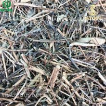 Mẹt cây đuôi chuột khô sạch, không lẫn tạp chất tại Thảo Dược Đức Thiện