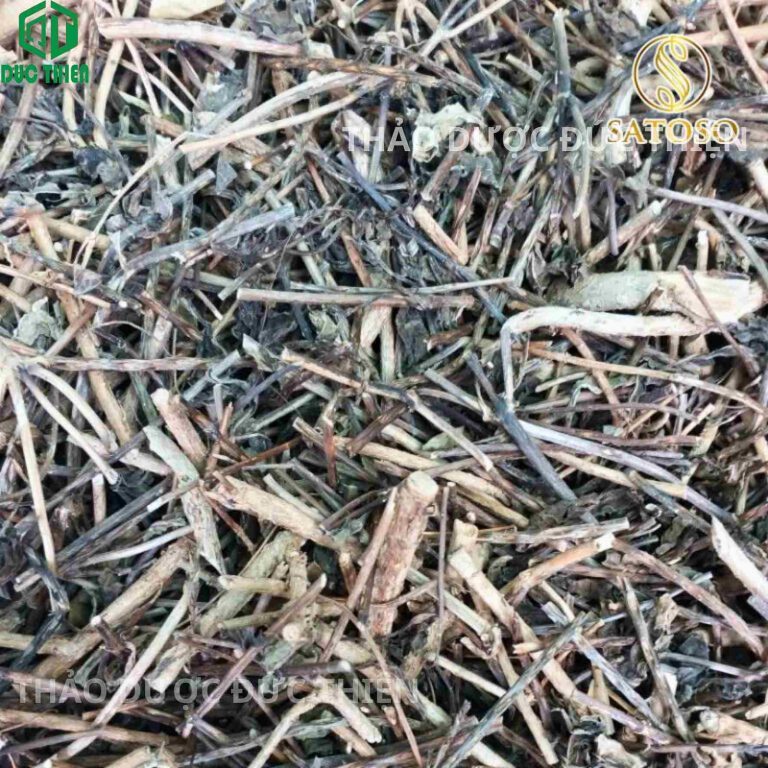 Mẹt cây đuôi chuột khô sạch, không lẫn tạp chất tại Thảo Dược Đức Thiện