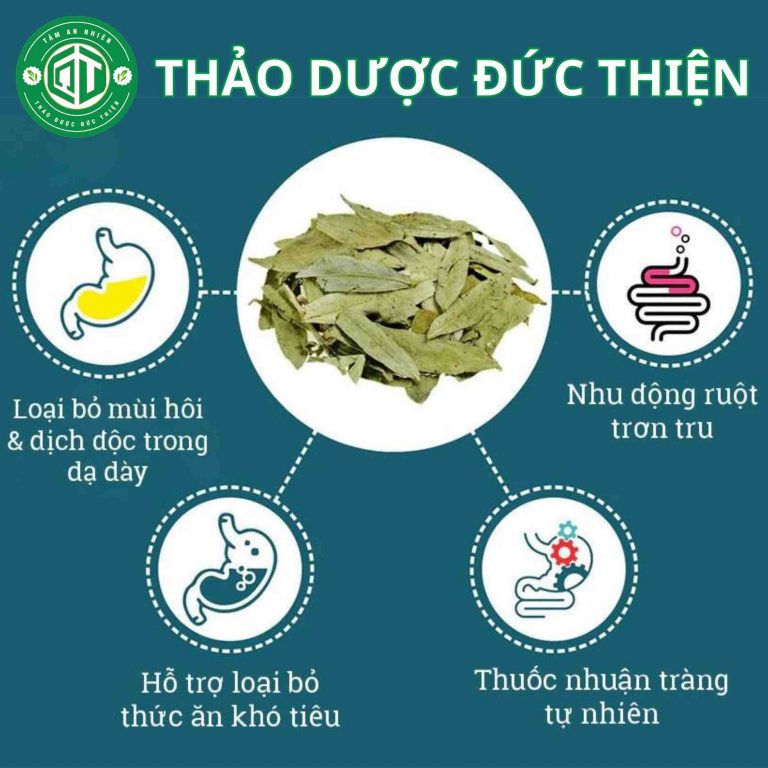 Tổng hợp công dụng của lá phan tả diệp: thải độc ruột, trị táo bón, nhuận tràng và hỗ trợ tiêu hóa