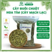 Cây Đuôi Chuột (Mạch Lạc) loại 1, đặc biệt – Hỗ trợ hở van tim, đường huyết, dạ dày