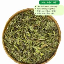 cay-mach-lac-loai-dac-biet-than-la-xanh-mau-dep