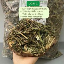 gia-ban-cay-duoi-chuot-loai-1-gia-re-phu-hop-kinh-te