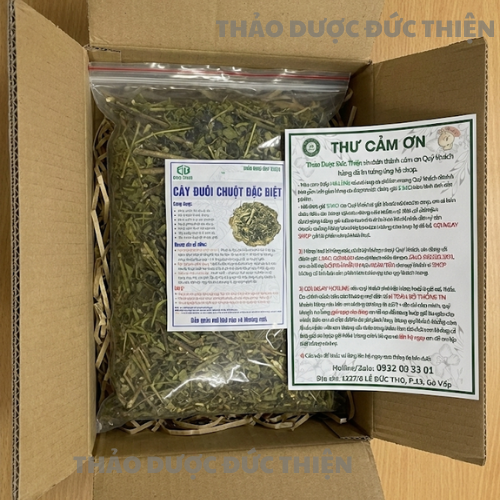 cay-duoi-chuot-dac-biet-dong-hop-kem-thu-cam-on-uy-tin